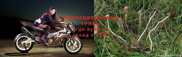 меф Покачи