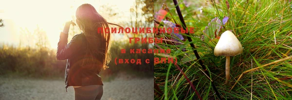 прущая мука Армянск